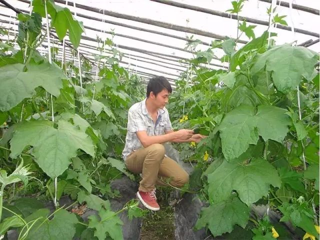 家庭农场怎么注册最好,家庭农场怎样能获批大的贷款