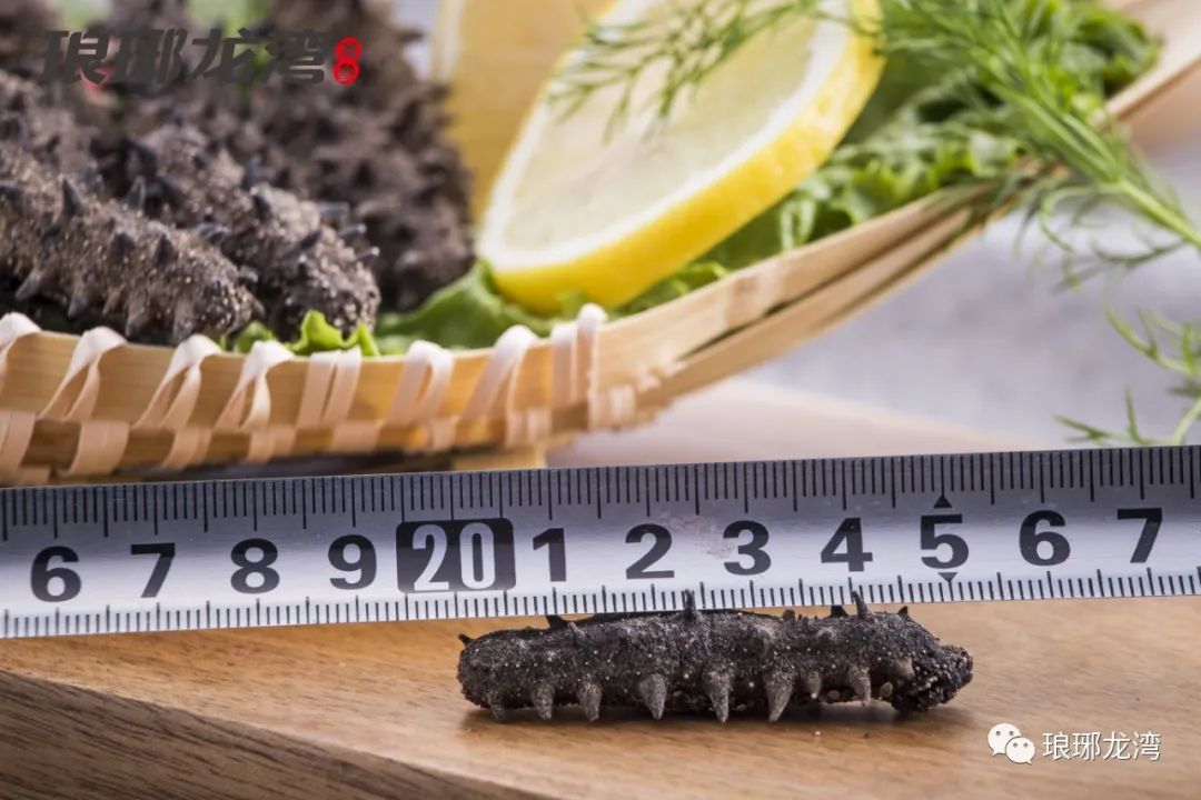 海参怎么吃既简单又有营养,海参老母鸡怎么炖最有营养