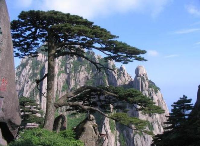 用一个成语代表一个省你都知道吗,全国每个省都有一个成语代表