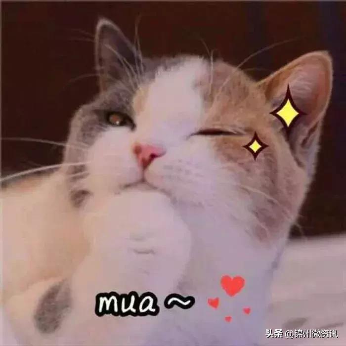 锦州渤海大学!全国最美大学之一!新入学的同学想知道的都在这里