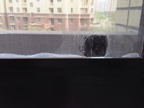 拆卸清洗纱窗小妙招,无法拆卸的纱窗如何清洗