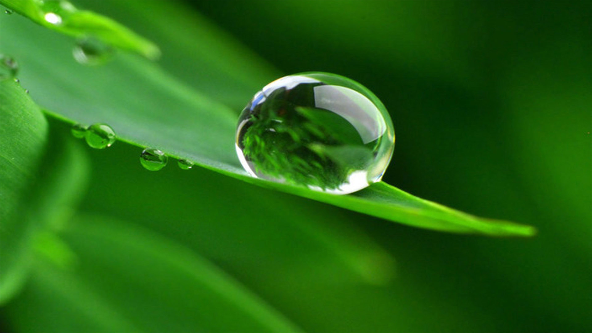 蓝色护眼壁纸唯美图片,最美的护眼桌面壁纸