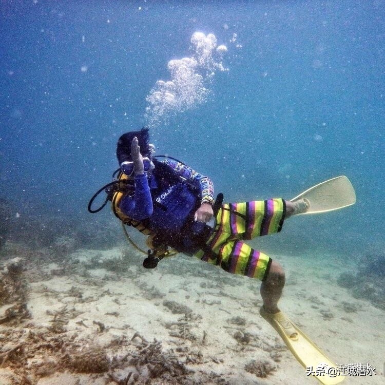休闲水肺潜水与自由潜水的区别,休闲潜水常识有哪些