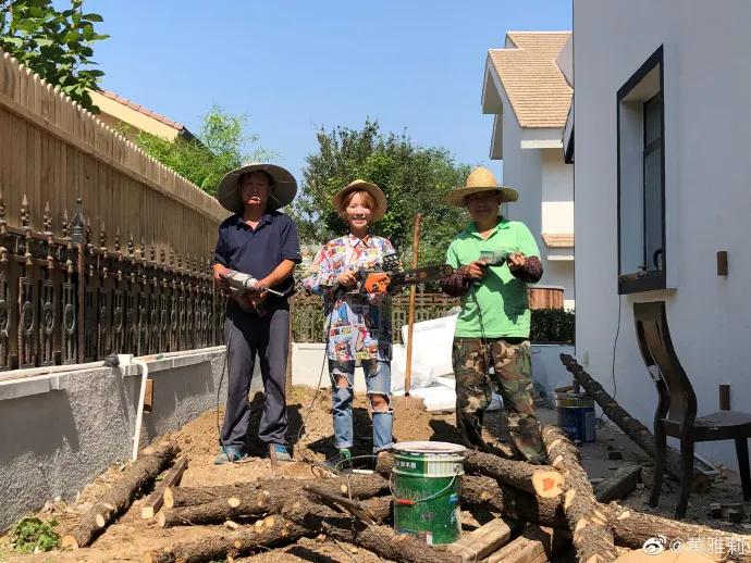 城市版的李子柒,李子柒真实的豪宅变化