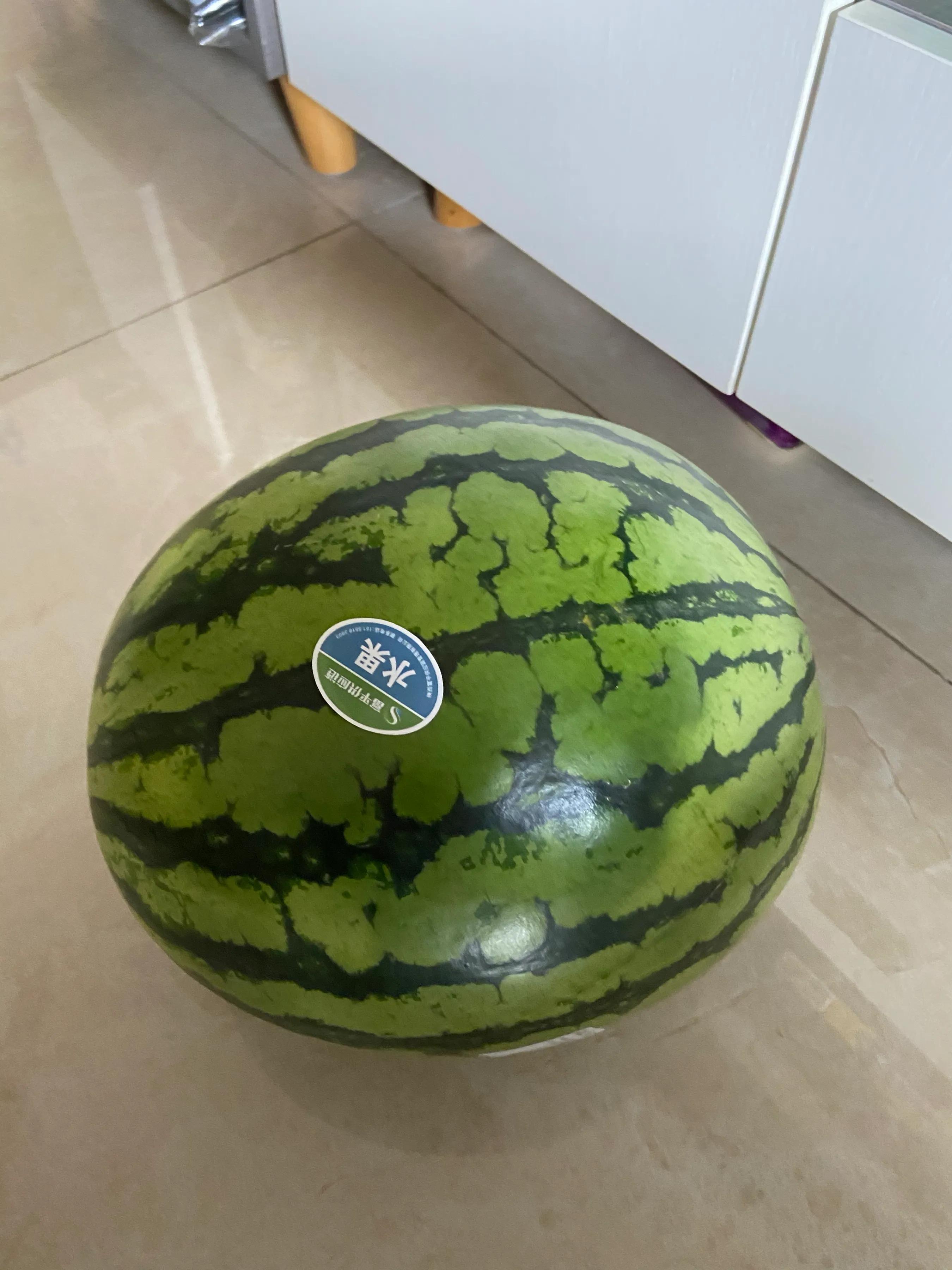 甘美西瓜和麒麟瓜哪个好吃,甘美4k西瓜和麒麟瓜哪个更甜