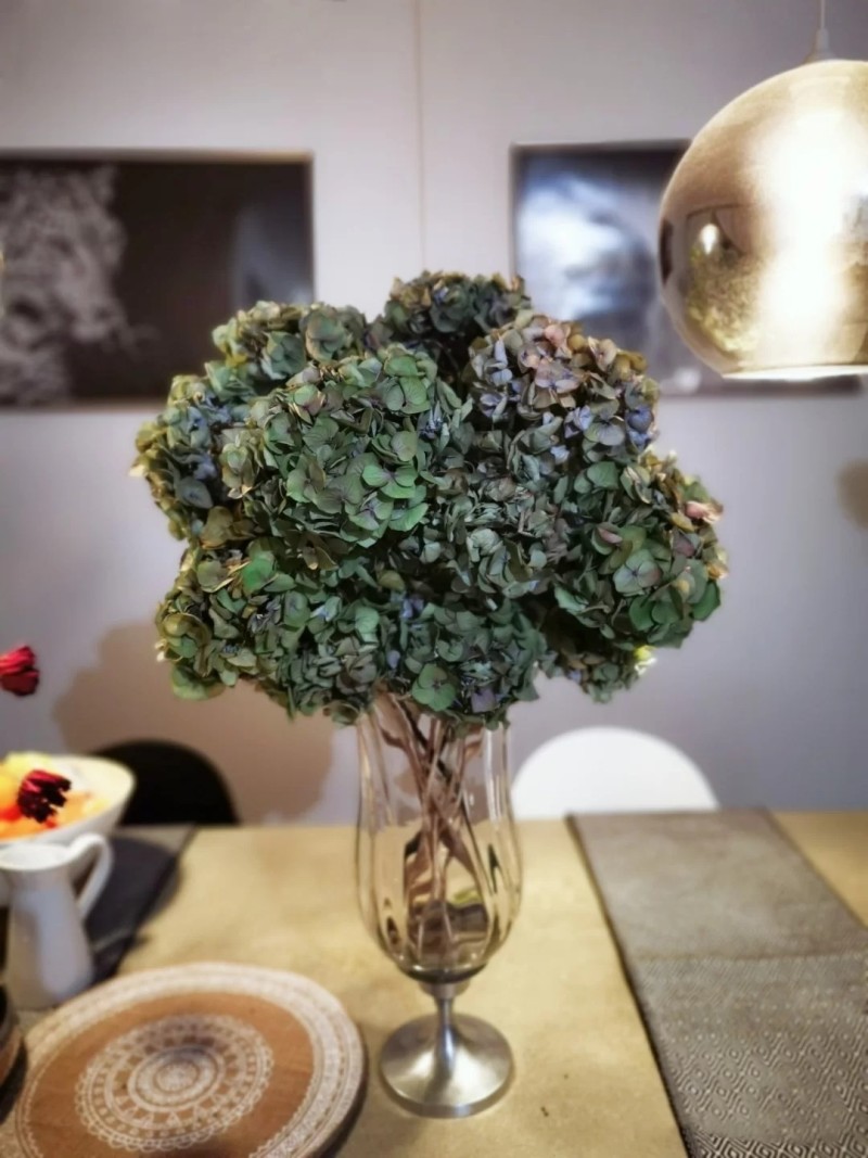 bonjour新品,bonjour的作品