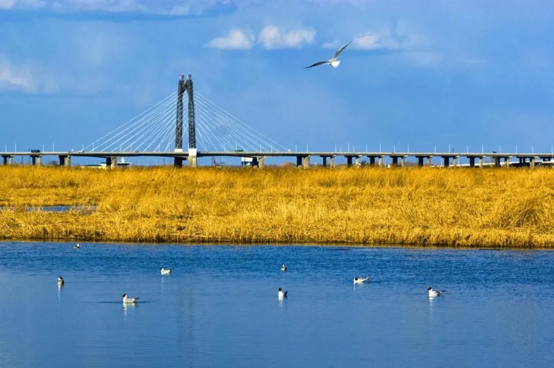 清明春游，官宣大庆五条炫彩路