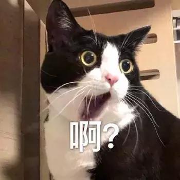 那些年我们笑的撕心裂肺,那些年我们开怀大笑