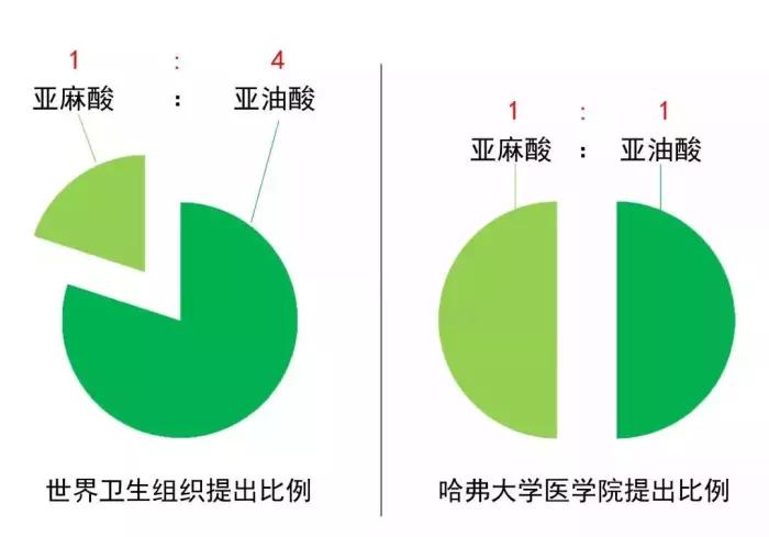新油道,食用油调和油怎么选