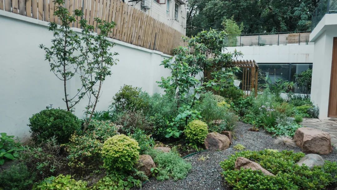 住在上海闹市400平的房子里，花开不败，开窗见池塘，太羡慕了