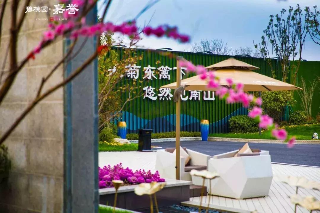 皖南春季小众旅游攻略图片,皖南绝美三日游的绝美景色