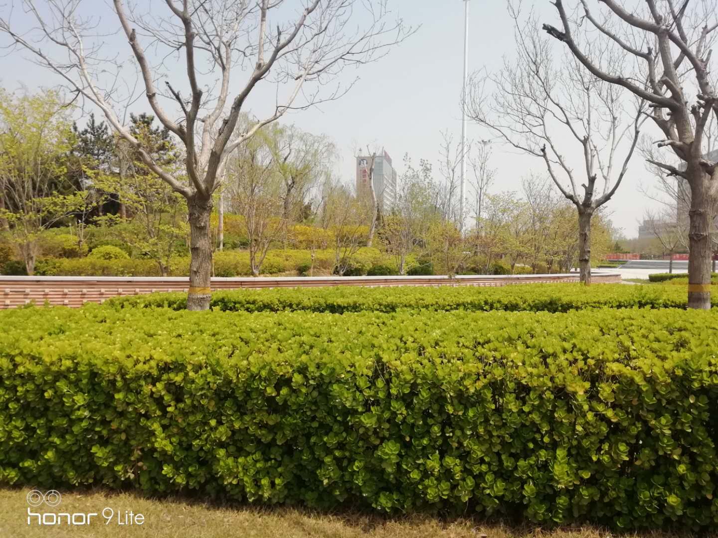 应时之作|春的蝶变