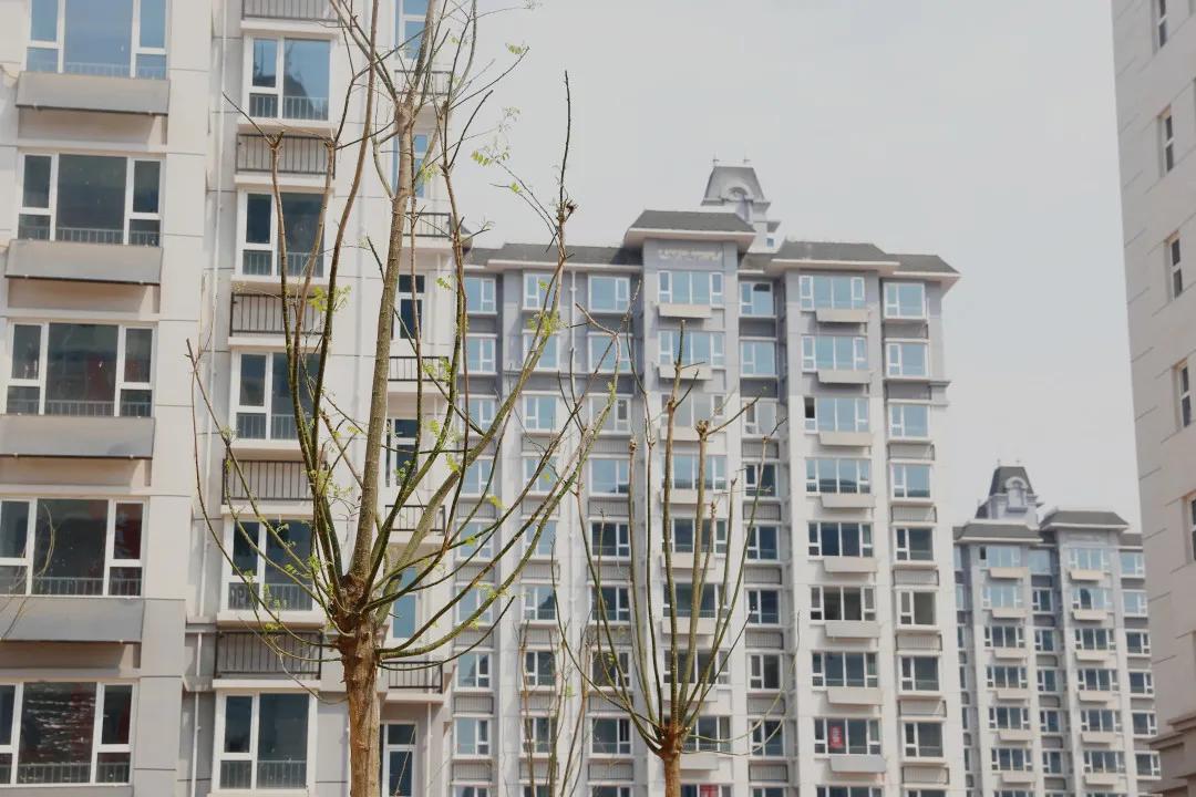 欢迎回家房屋,欢迎回家新楼盘