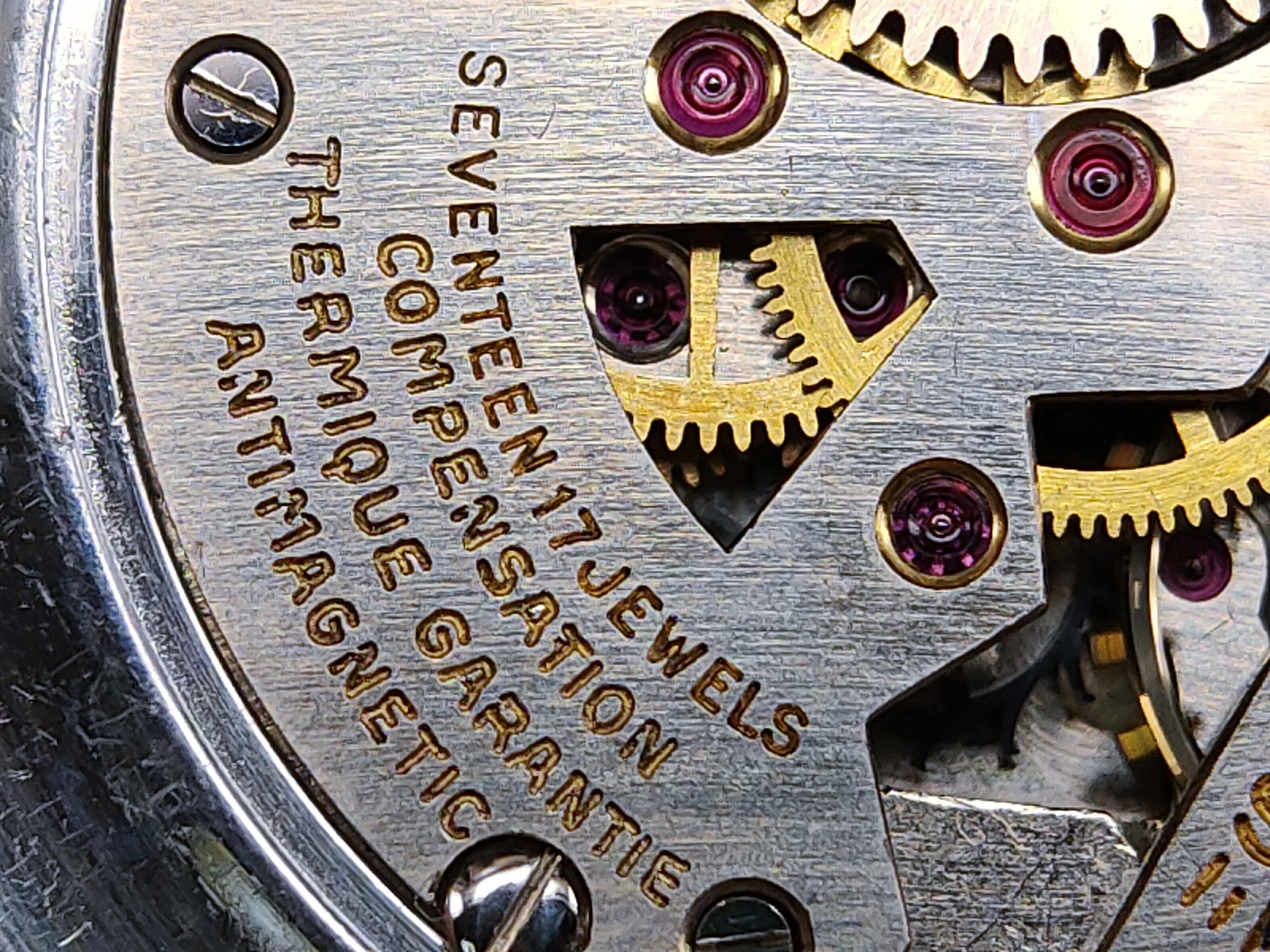 因为一条鱼爱上一个人,因一条鱼丢了一条命