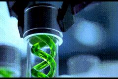 人类作死研究出的怪兽：铁线虫寄生人体太可怕，八爪鲨鱼爱吃人