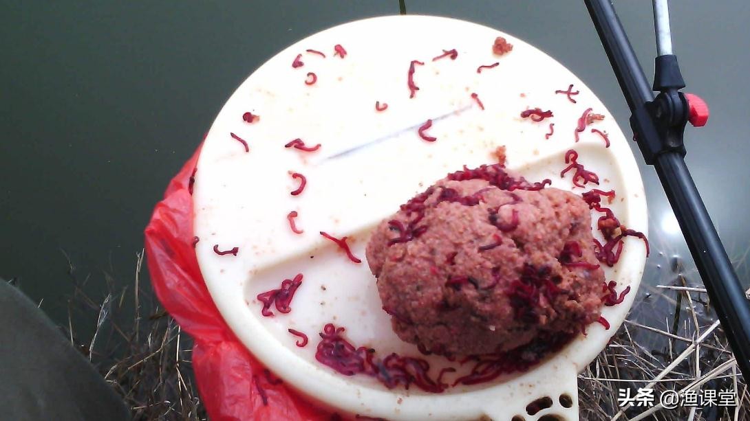 冬季红虫钓鱼最佳时间,冬季钓鱼红虫怎么用