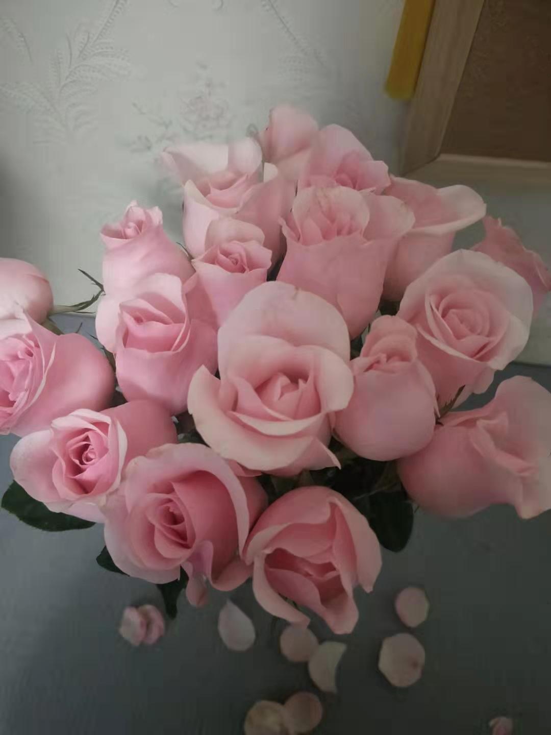 关于选择，你一直都有