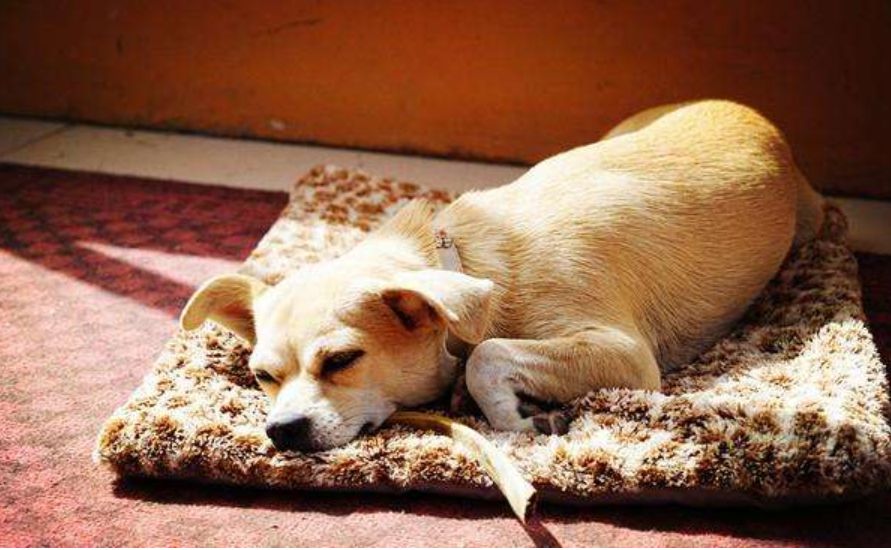 准备好迎接了吗英文翻译,准备好迎接除夕了吗