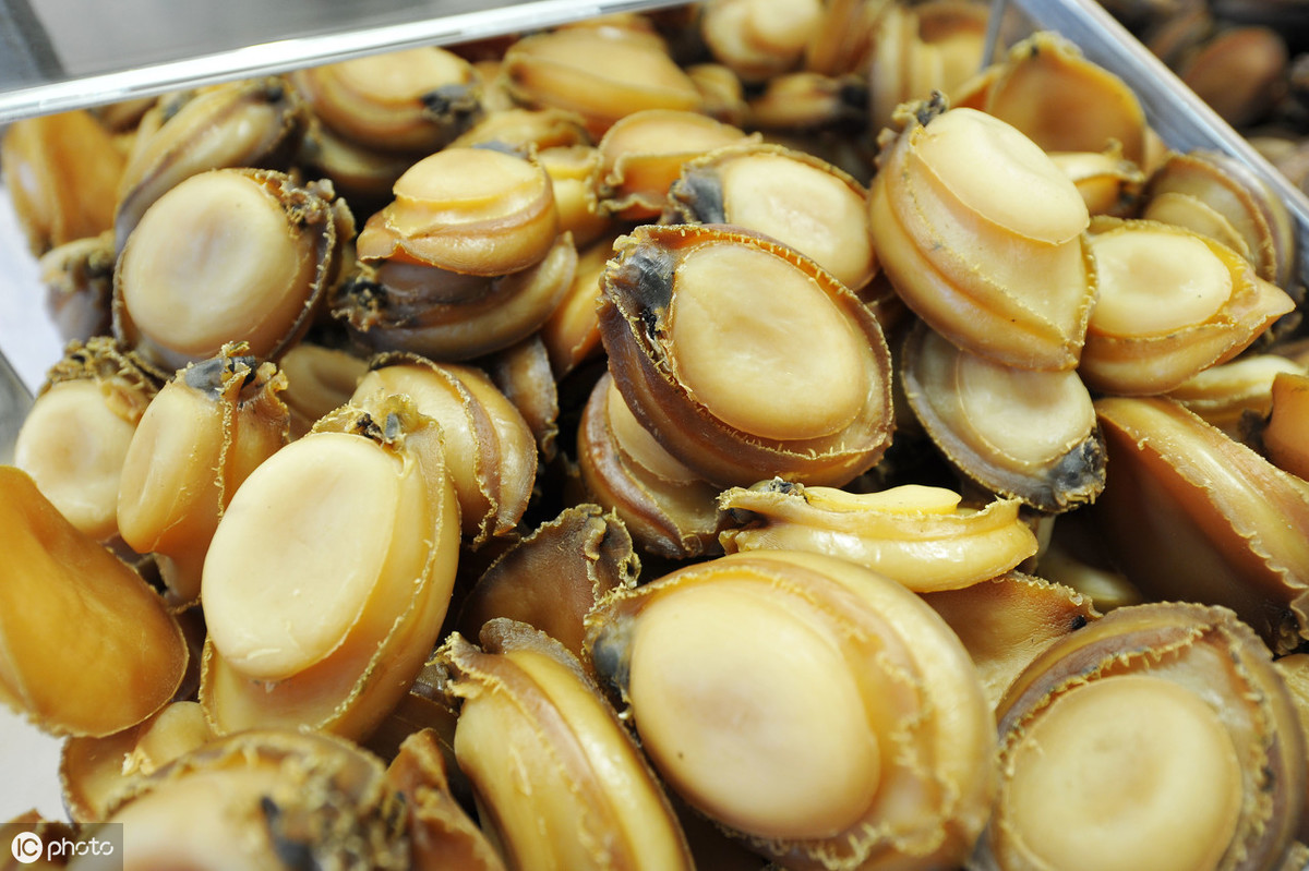 生活在海边的人只能用海鲜充饥,品尝大海的味道纯天然海鲜食材