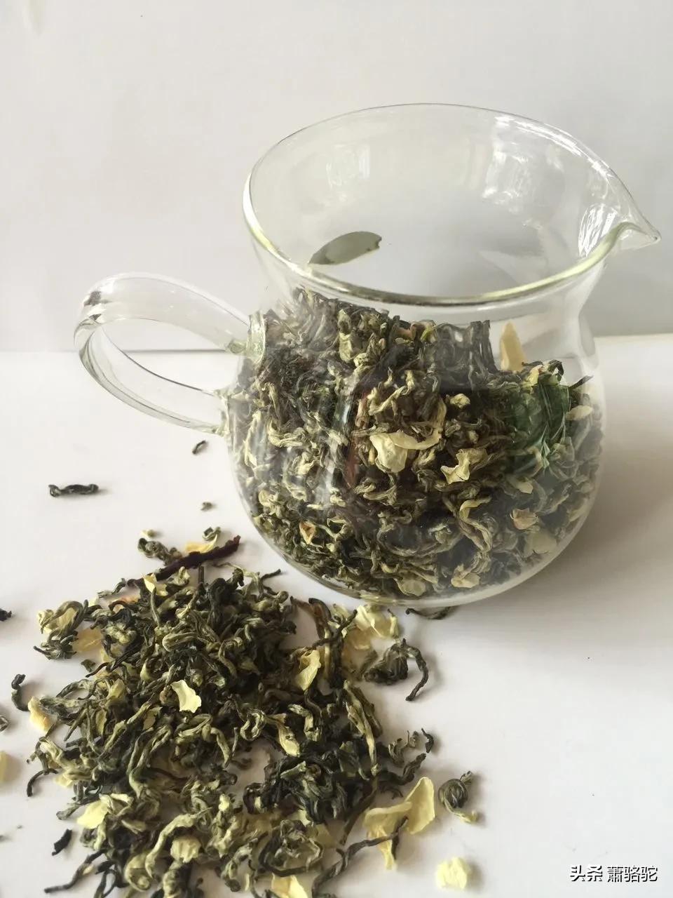 烘青茉莉花茶哪家好,茉莉花茶哪家好成都