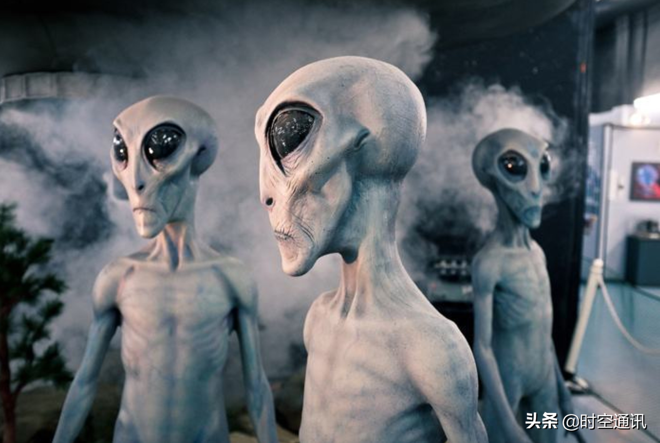 人类对于外星人的存在有什么想法,人类是否探索过外星人的真正面目