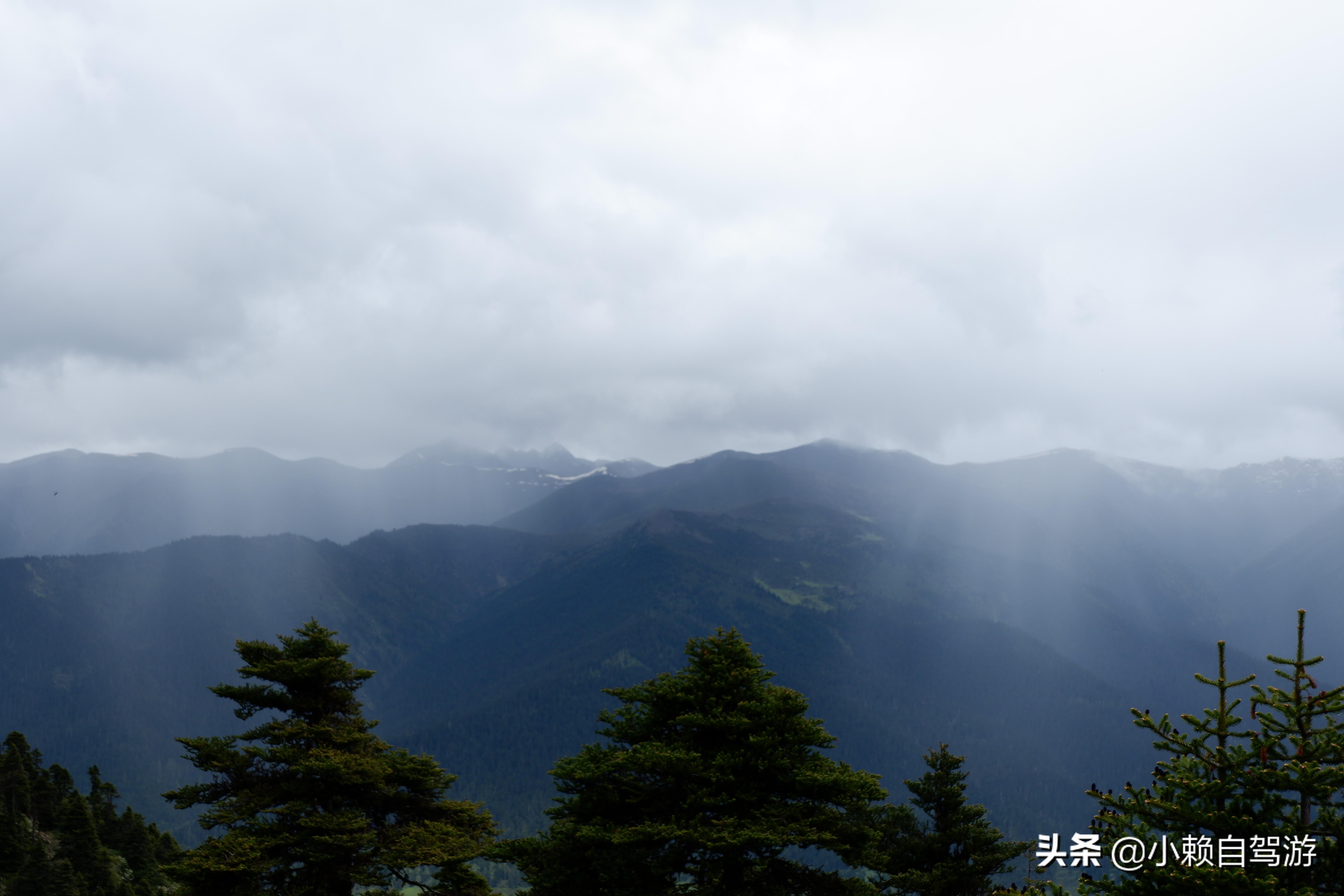 拉萨和林芝有什么好玩的,去西藏波密林芝旅游最佳是几月份
