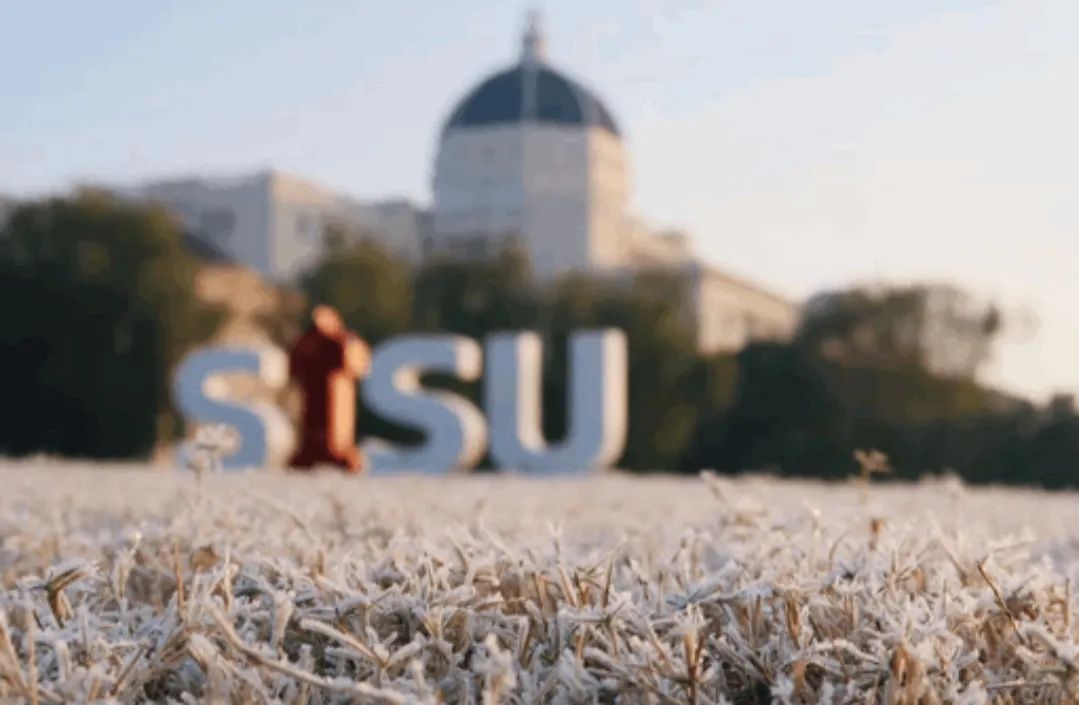 外国语大学本科招生简章,2023年上海外国语大学招生