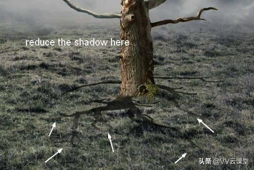 在Photoshop中创建带有月亮的树的超现实图稿，VV云课堂教程