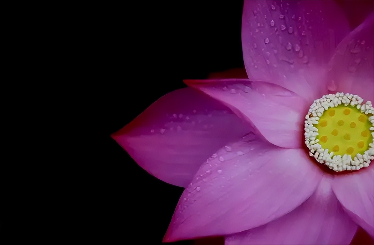 马祖道一禅师语录,马祖道一与怀让禅师全文