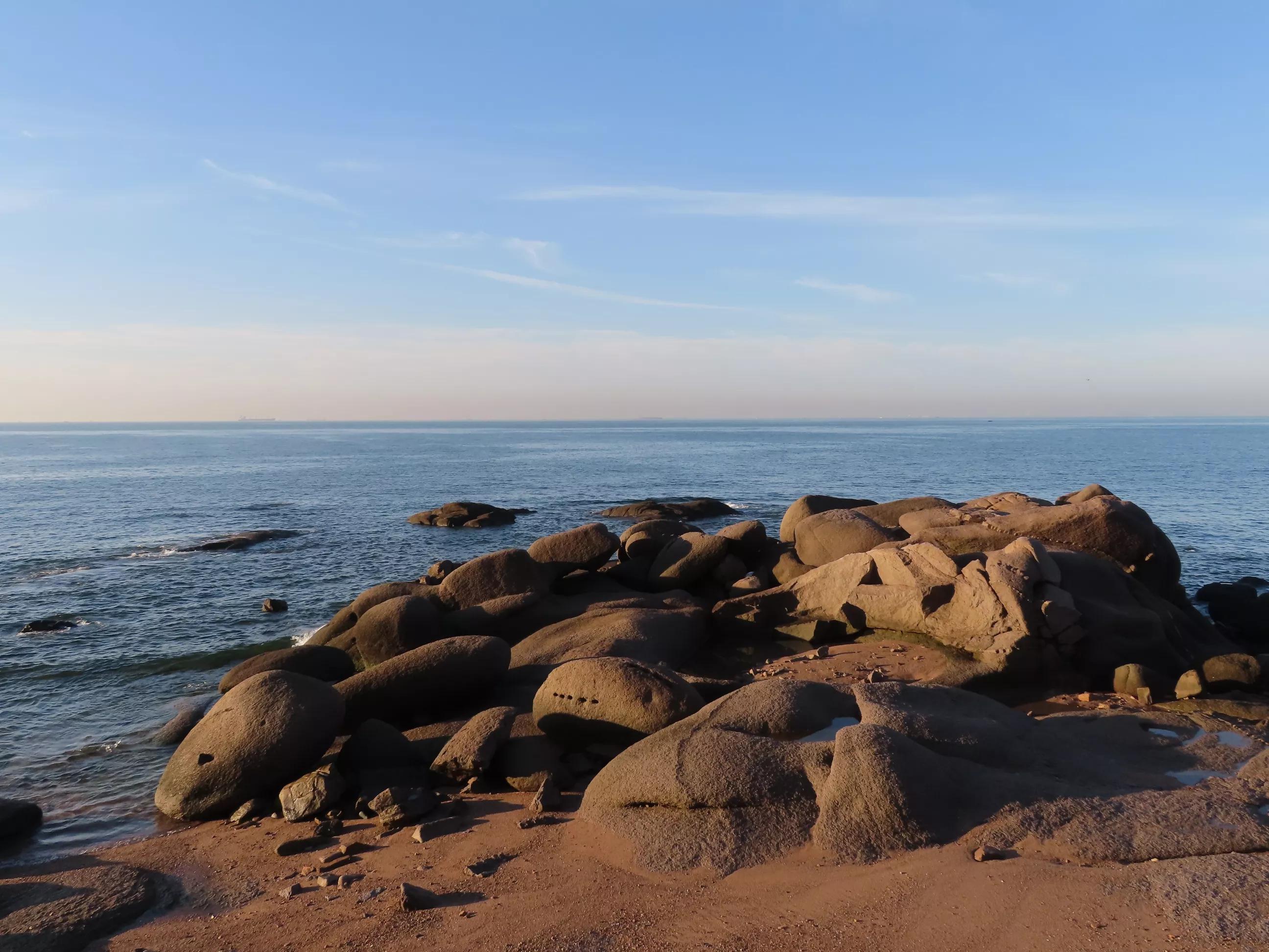 青岛的海,青岛的海鸥