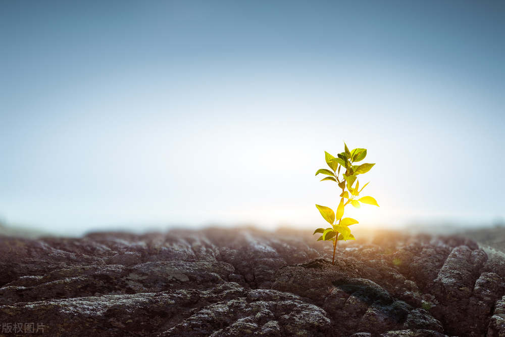 别人的看法和想法不重要,别人的想法其实也没那么重要