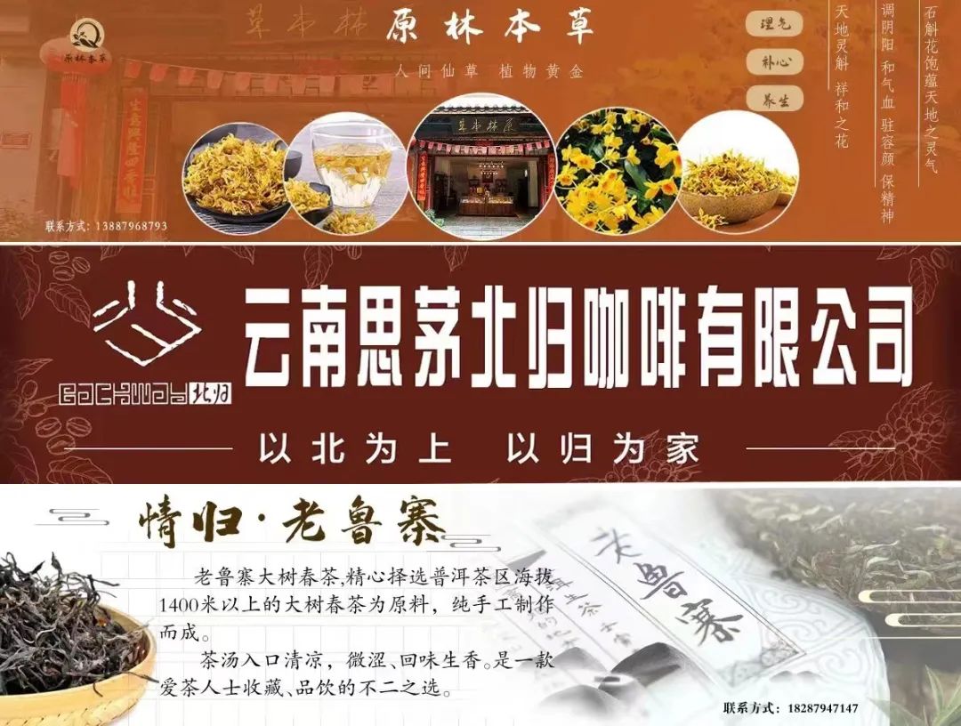 网格员协助社区新春送温暖活动,新春走基层温暖的守护者