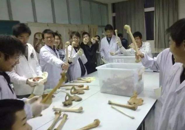 中国最好十所医学大学就业前景,就业前景好的医科大学有哪些