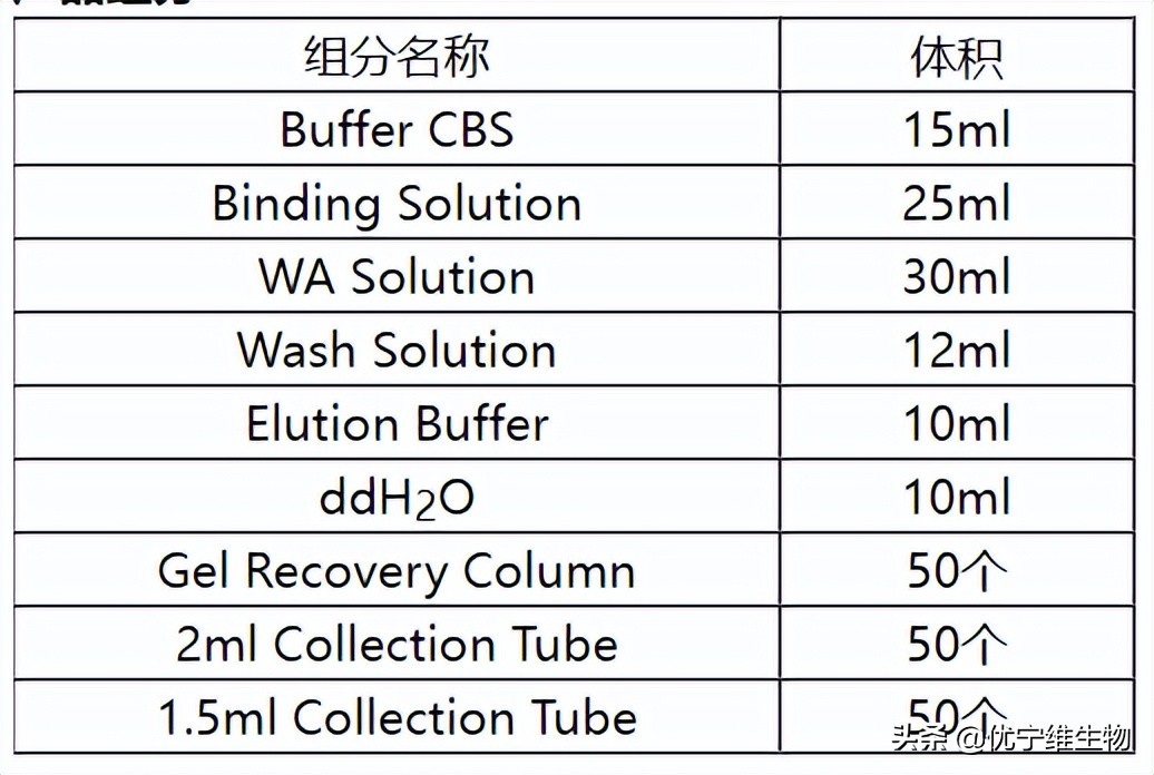 真核原核生物细胞壁,真核生物标记基因