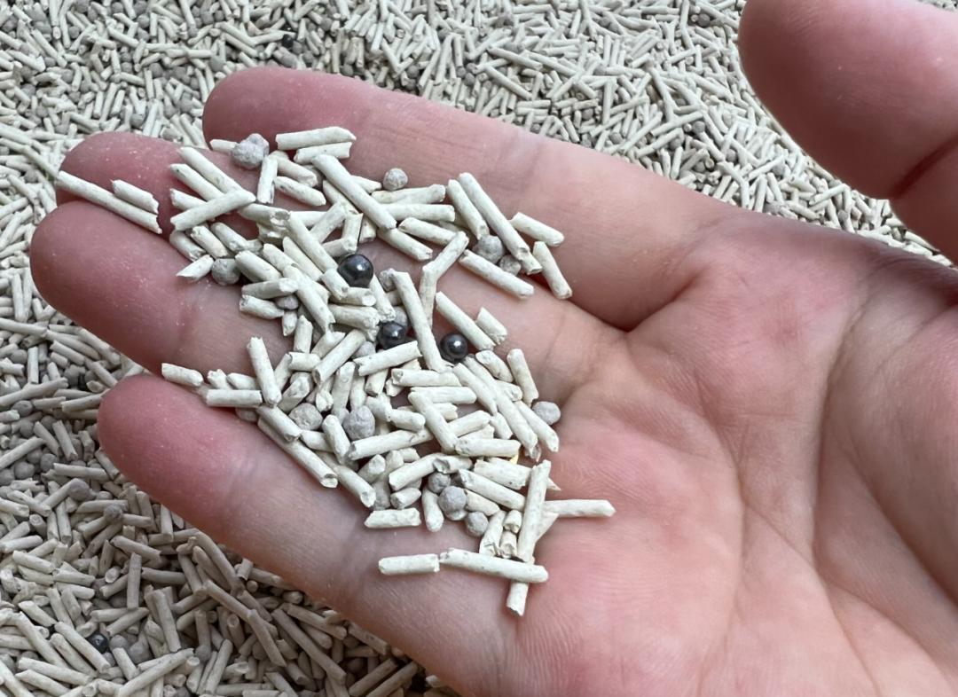 为什么养猫猫家里有怪味,养猫味道大怎么办小妙招