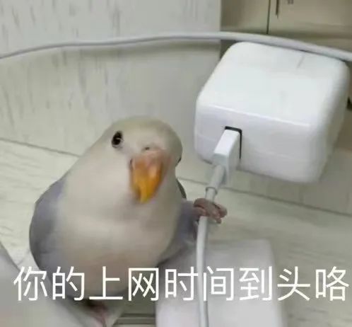 「本科专业分析」专业介绍就业方向最低投档线自荐科目(八)