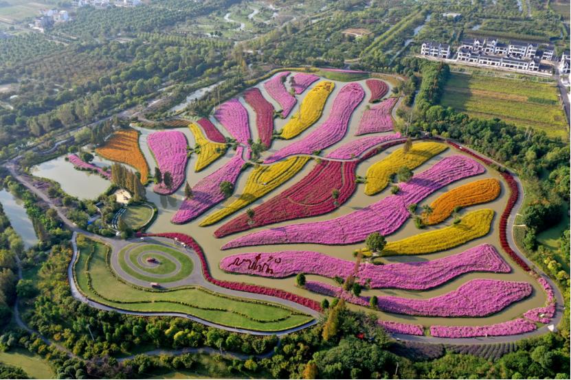 上海新评定五家a级景区,上海五星级旅游景点排名