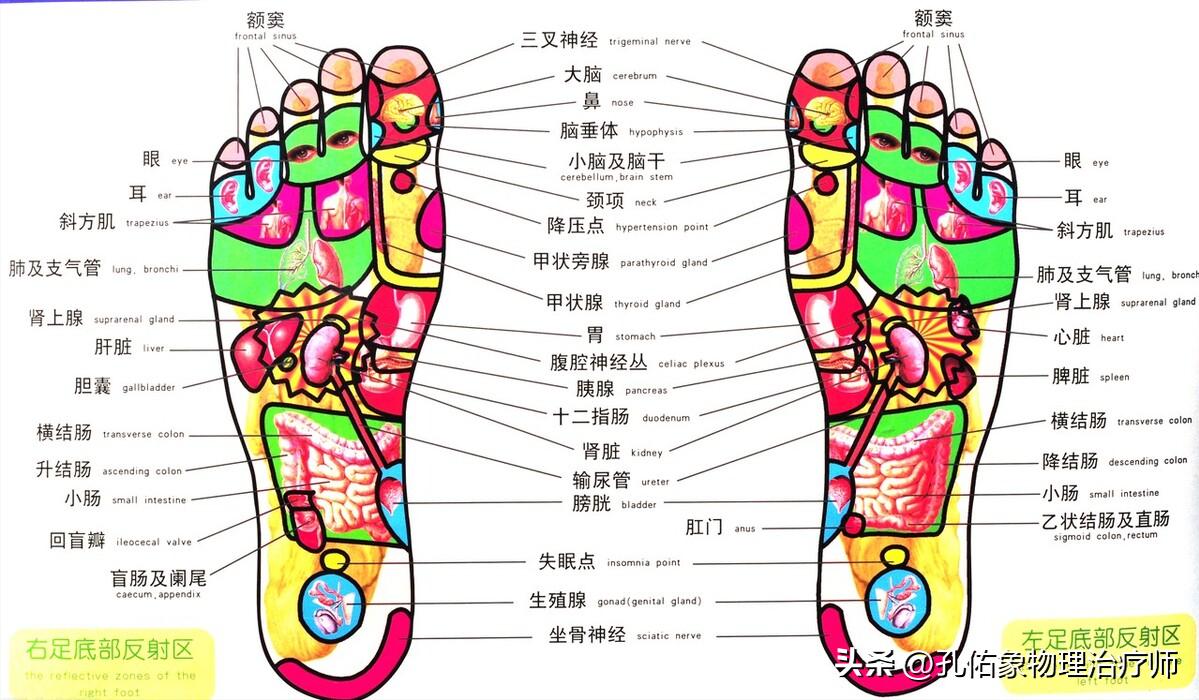 脚部信号透露健康问题,脚部出现这6种症状