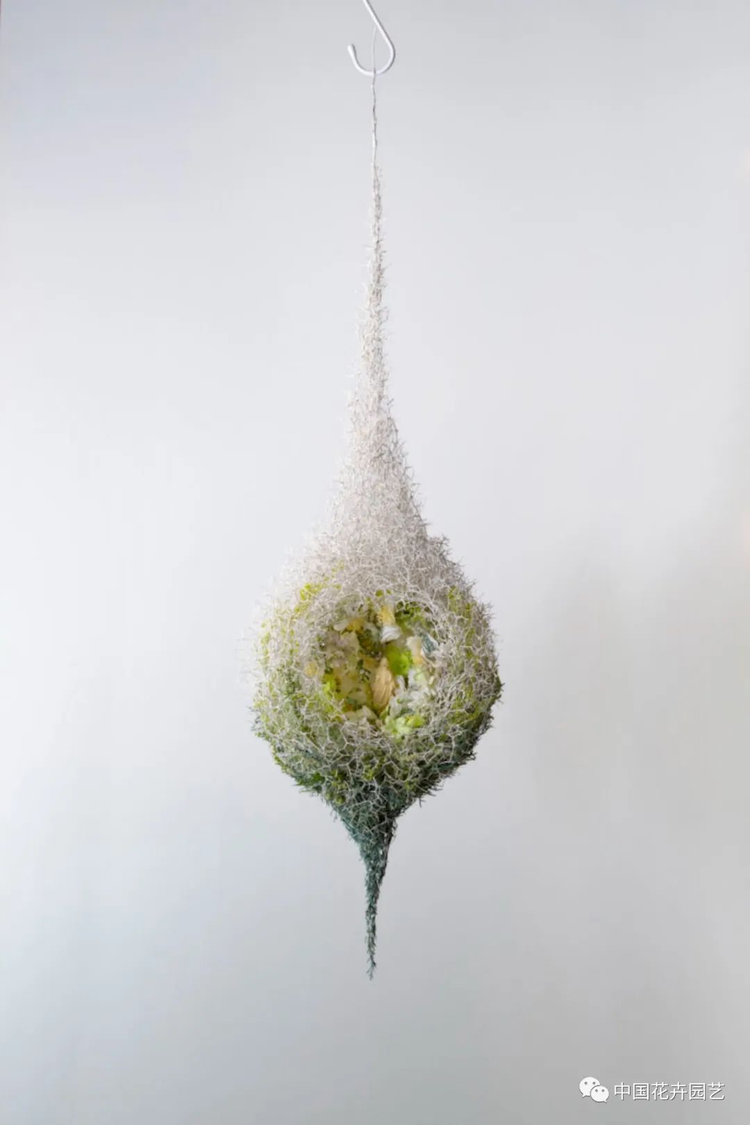 “2022日本花卉设计大奖”公布日本人花卉购买行为调查结果新鲜出炉|每周国际花讯