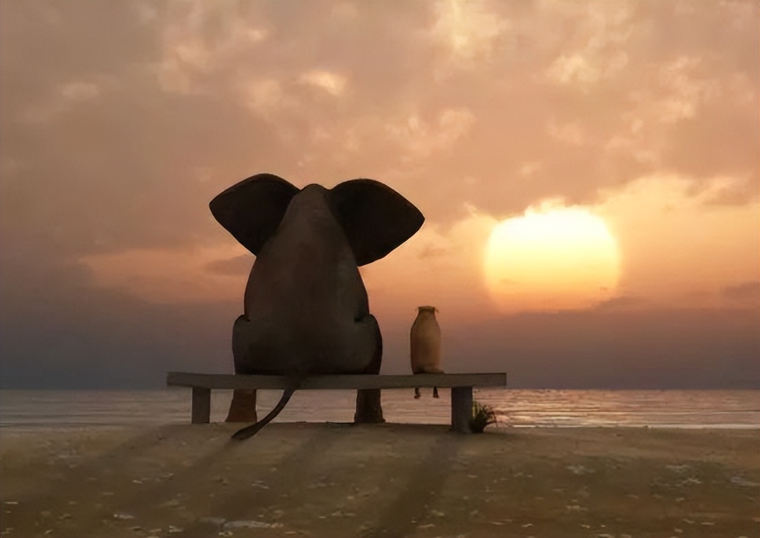 三观不合的夫妻能凑合过下去吗,夫妻三观不合是指哪三观