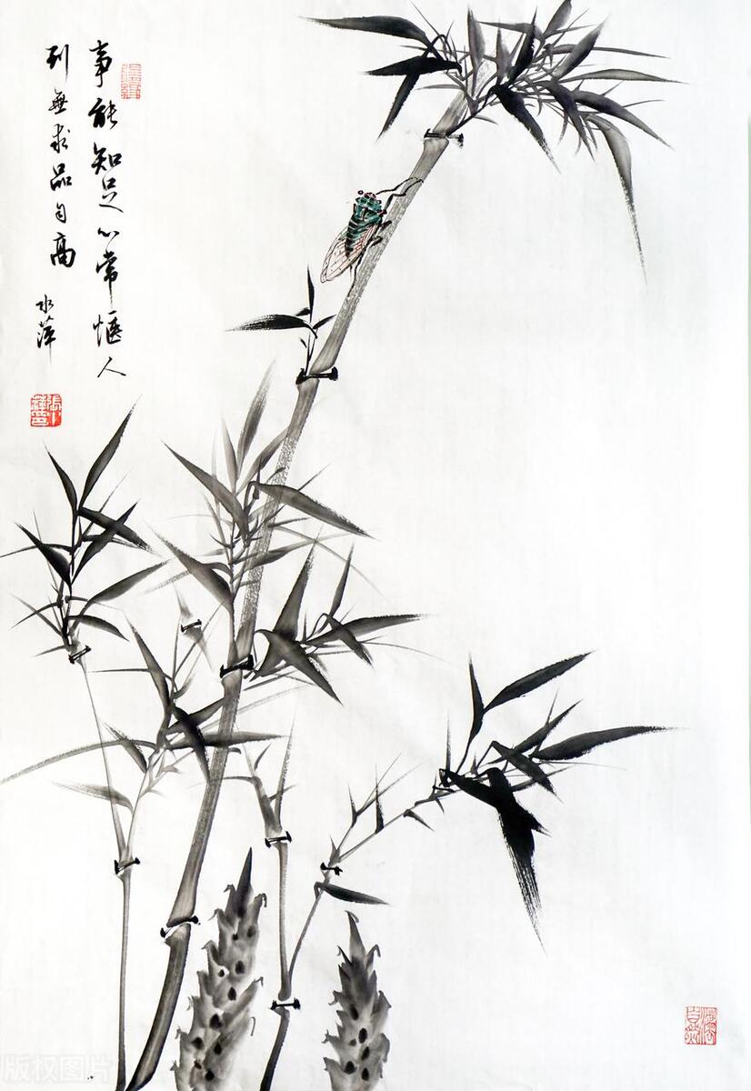 抖音如何开通书画店铺,抖音书画小店开通教程怎么弄