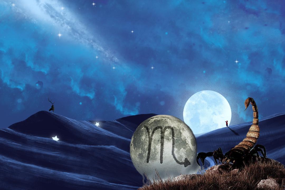 天蝎座容易成功的行业,近期天蝎座升职能成功吗