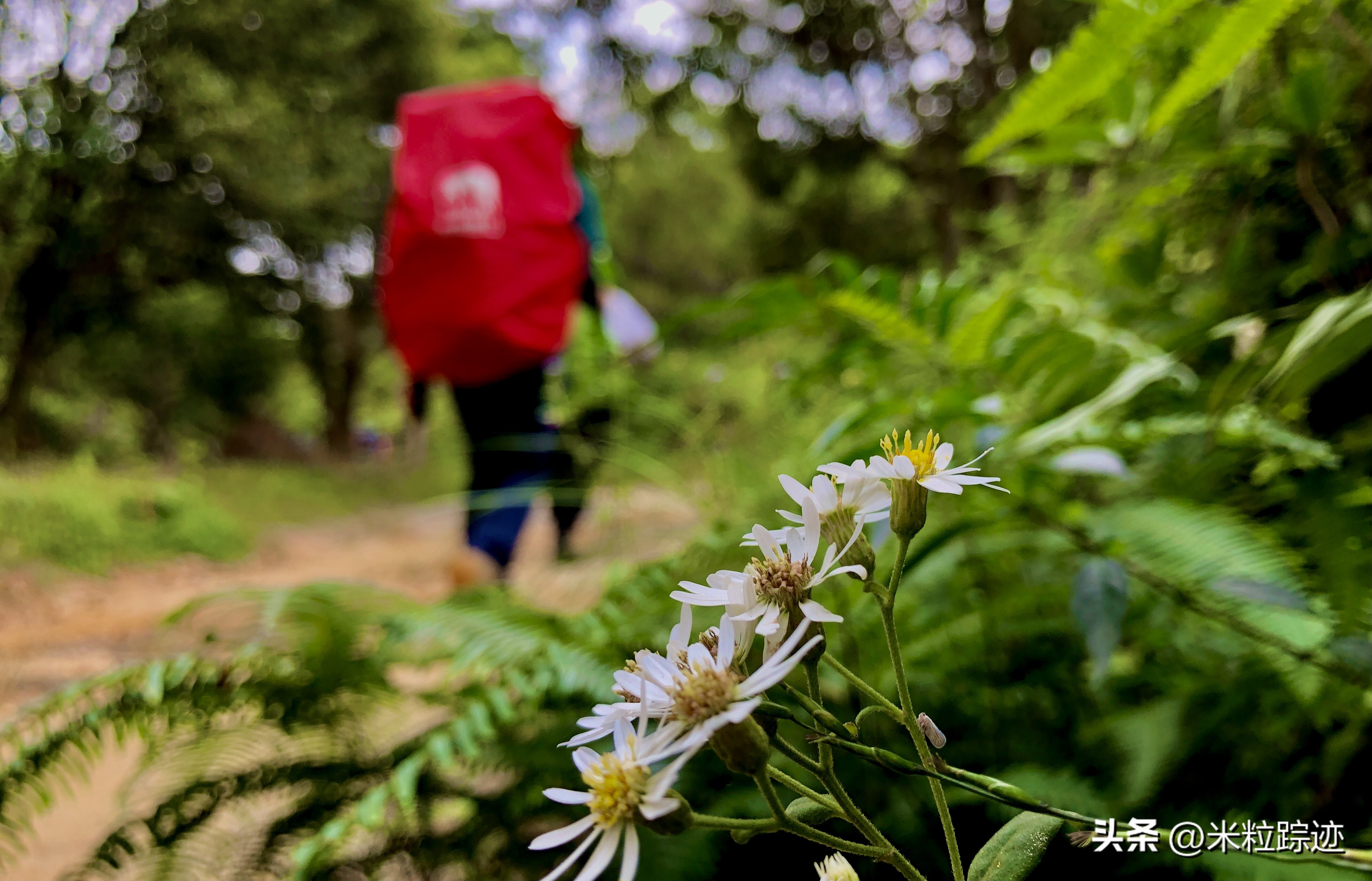 户外常见事故发生的主要原因,户外事故解析