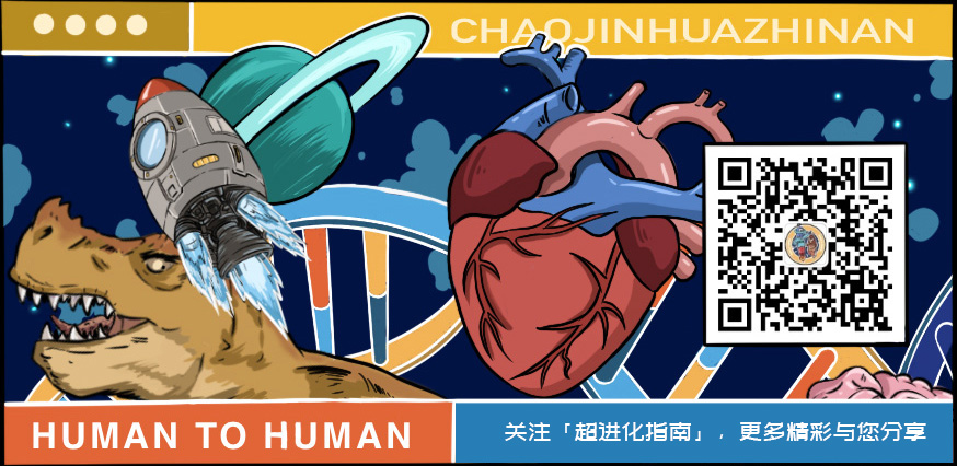 入住酒店注意事项检查摄像头,如何查找酒店隐秘摄像头