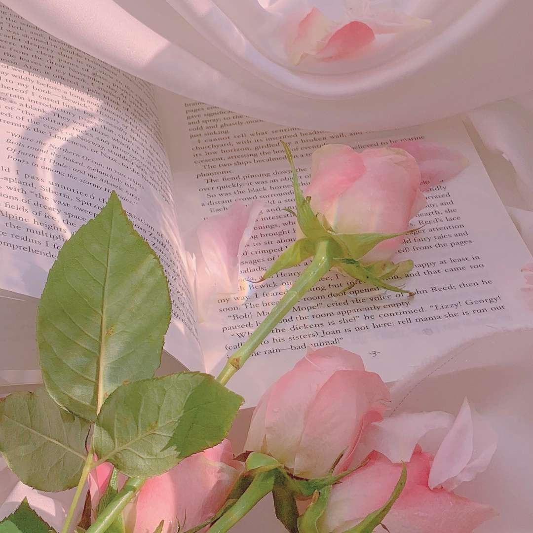 好听的歌词文案日常,适合发朋友圈的歌词文案