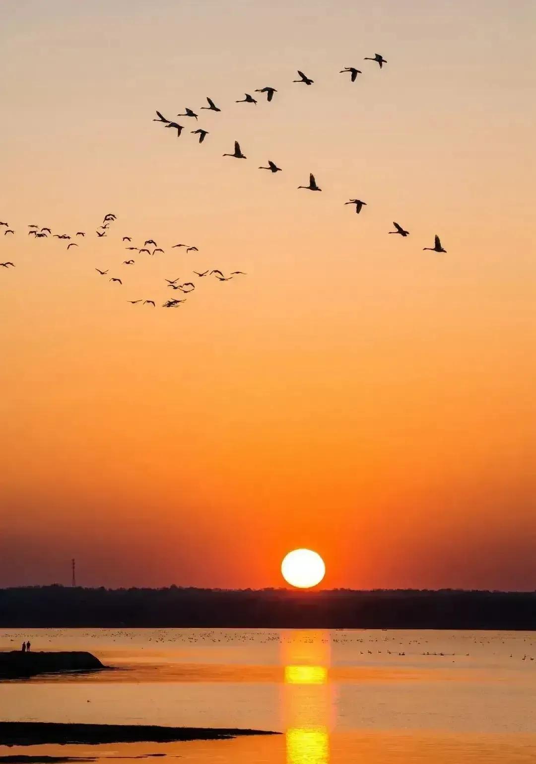 厮守一生的唯美诗句图片,相爱的诗句经典语录图片