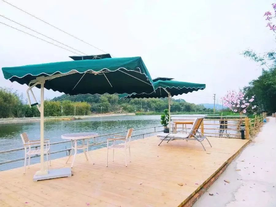 增城网红民宿别墅,增城最美花园亲子民宿