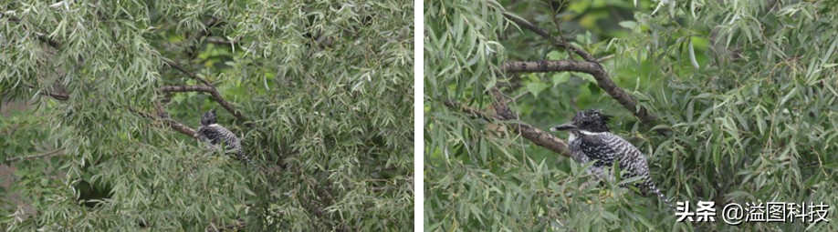 eosr7微单详细测评,佳能r7这款相机真的是值得买吗