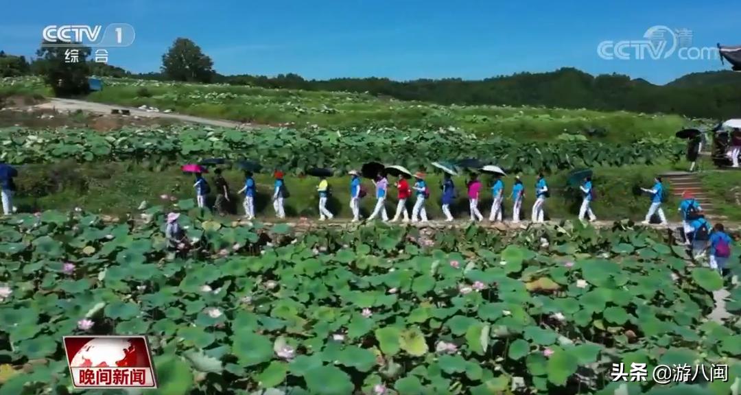 世界最大的梯田,世界梯田之最