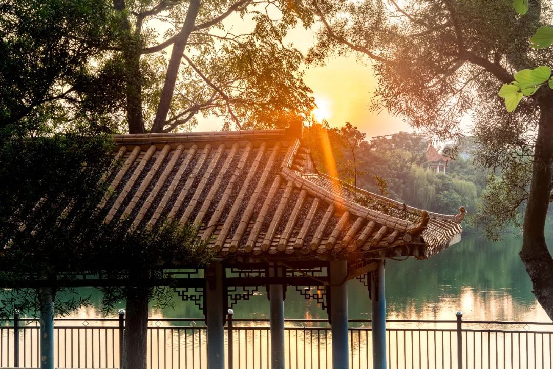 20个经典成语,20大经典成语